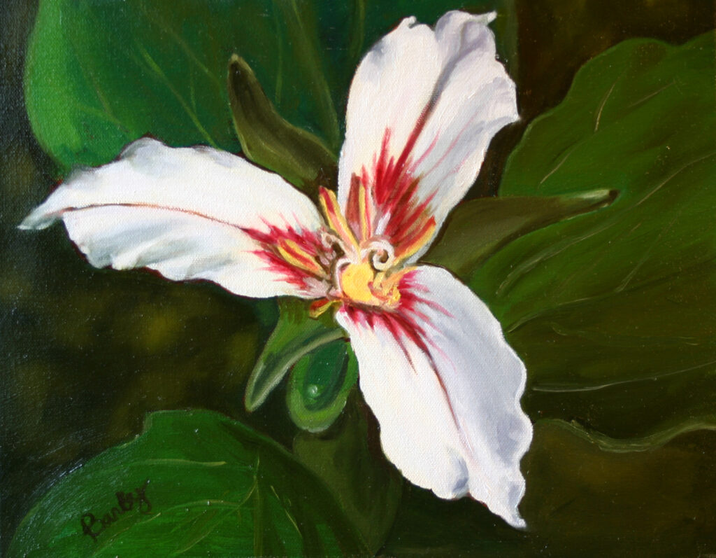 Orchid