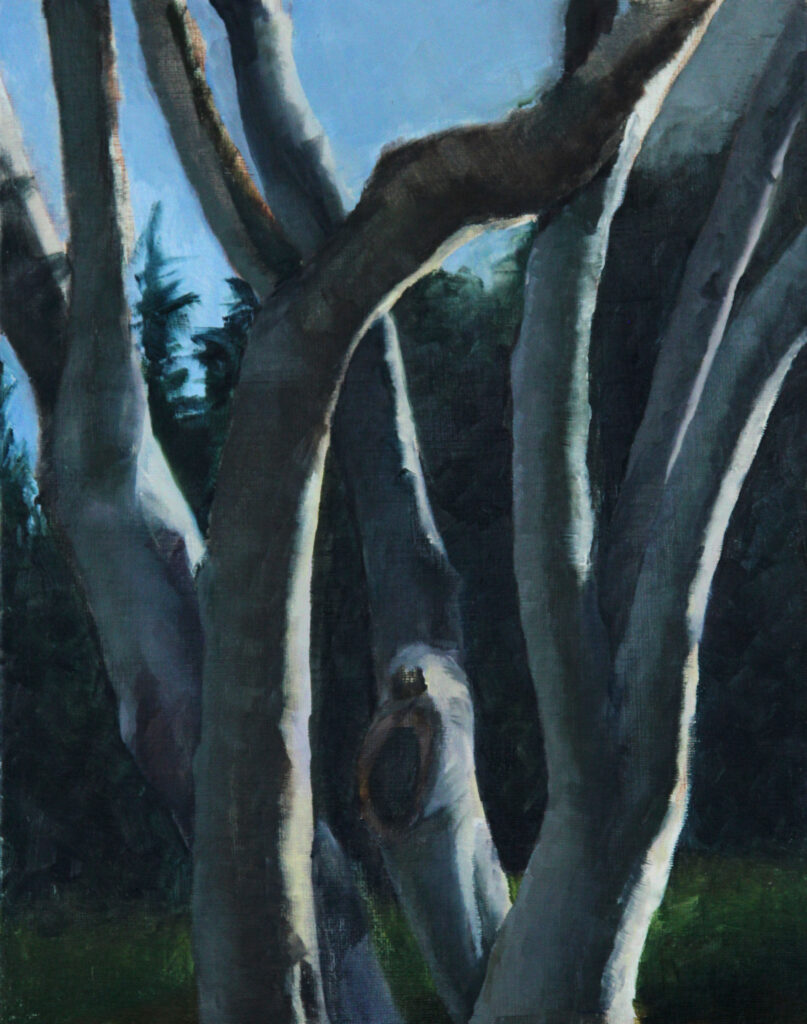 Tree trunk